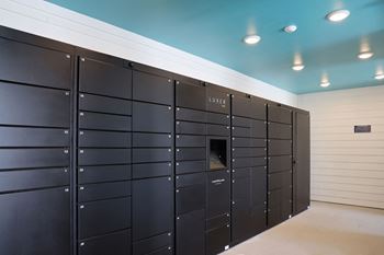 Luxerone package lockers